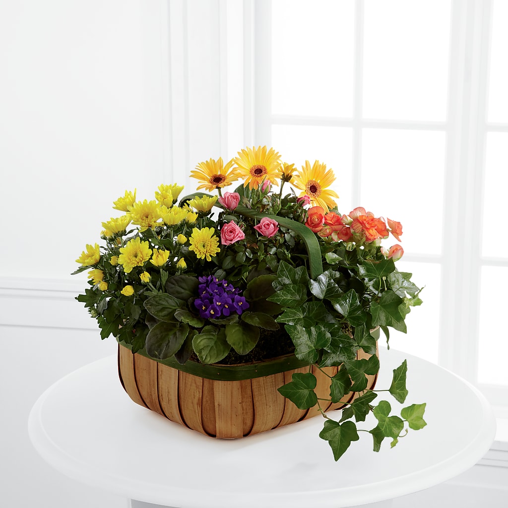 Gentle Blossoms Basket – Cerezo Flowers, Miami FL