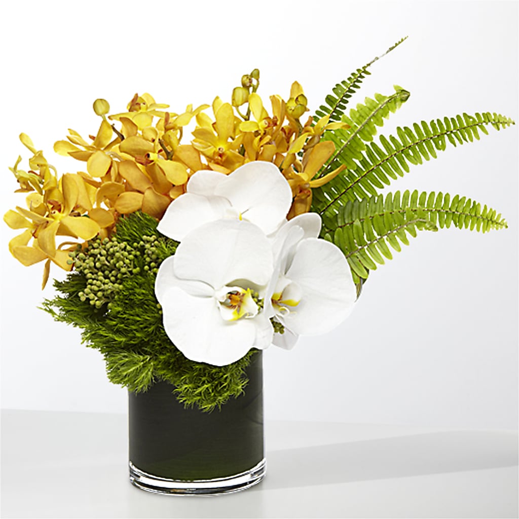 The Tropics –  Cerezo Flowers, Miami FL